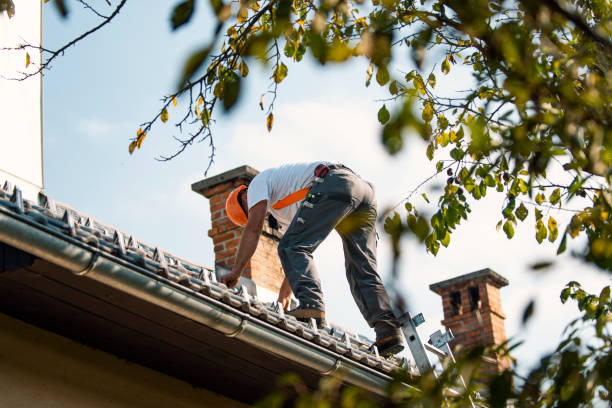 Professional Roofing Contractor in Avis, PA
