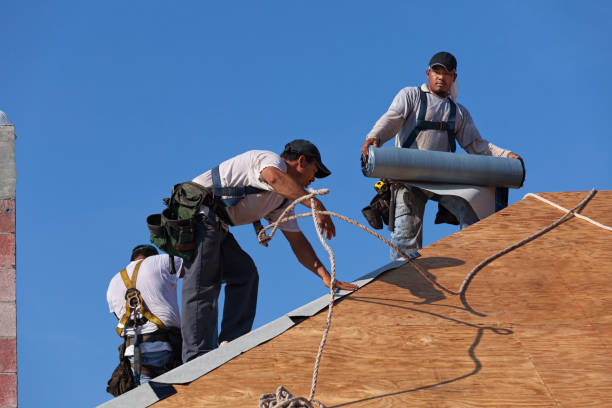 Best Storm Damage Roof Repair  in Avis, PA